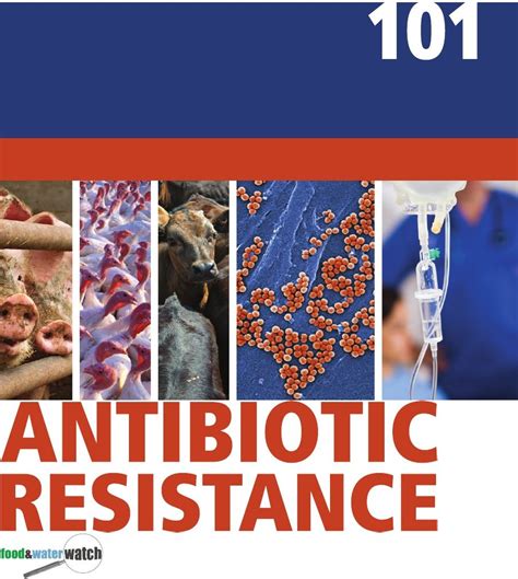 Food And Water Watch Antibiotic Resistance 101 How Antibiotic Misuse