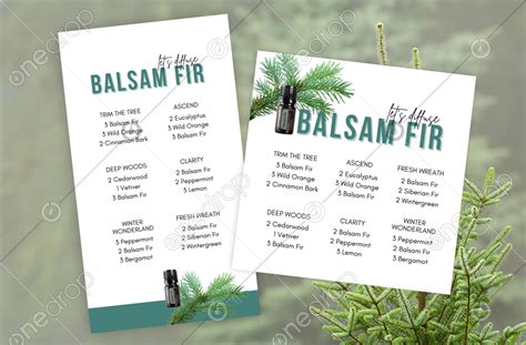 Balsam Fir Diffuser Recipes By Amy Schultz