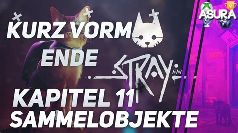 Stray Alle Sammelobjekte All Collectibles Kapitel Youtube