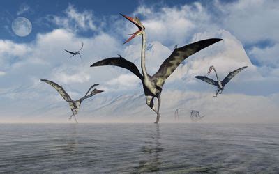 10 Interesting Pterodactyl Facts