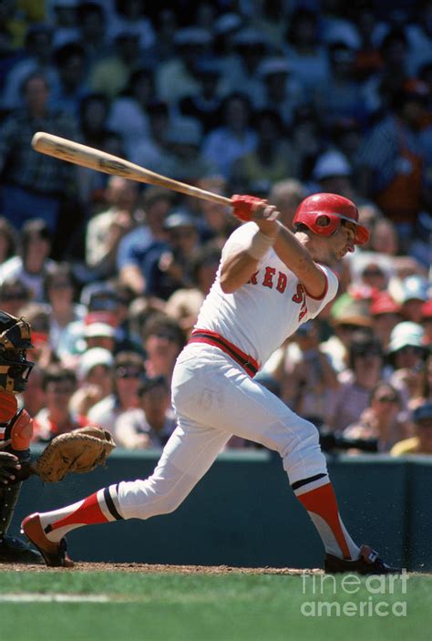 Carl Yastrzemski Photograph By Rich Pilling Fine Art America