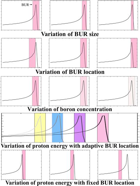 The Investigation Of Physical Conditions Of Boron Uptake Region In