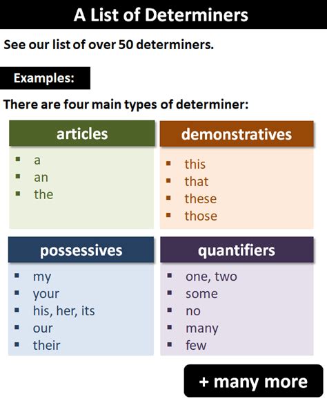 Determiner Definition Types List And Useful Examples Of