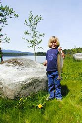 Fishing In The Nimpo Lake And Area For Wild Rainbow Trout Is Not To Be