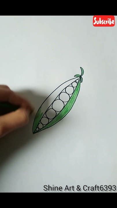 How To Draw Peas Peas Drawing Vegetables Drawing And Colour Youtube