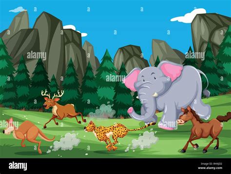 Animals run in the nature illustration Stock Vector Image & Art - Alamy