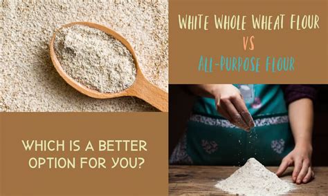 White Whole Wheat Flour Vs All Purpose Flour The Ultimate Verdict The Coconut Mama