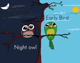 Productivity Analysis: Night Owls vs Early Birds - SK Children Foundation: NGO in Delhi