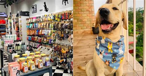 7 Best Pet Accessories Shops In Delhi | So Delhi