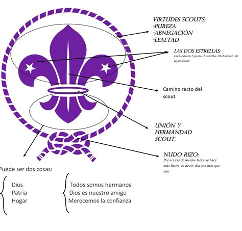 Flor De Liz Significado LIBRAIN