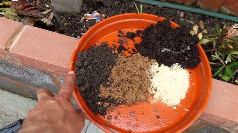 What Is The Best Ratio Of Compost To Soil At Timothy Naomi Blog