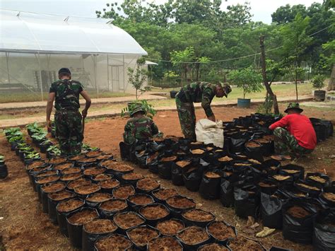 Tni Tanam Sayuran Manfaatkan Lahan Tidur Nasionalis Rakyat Merdeka