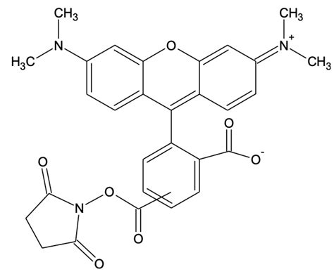 5 6 TAMRA SE 5 And 6 Carboxytetramethylrhodamine Succinimidyl