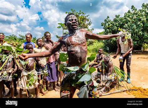 Pygmy Man Dancing Kisangani Democratic Republic Of The Congo Africa