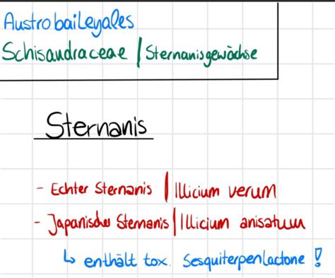 Pflanzen Namen Zidorn 1b 2b Karteikarten Quizlet