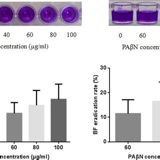 The Effect Of Efflux Pump Inhibitor Pa N On Acinetobacter Baumannii