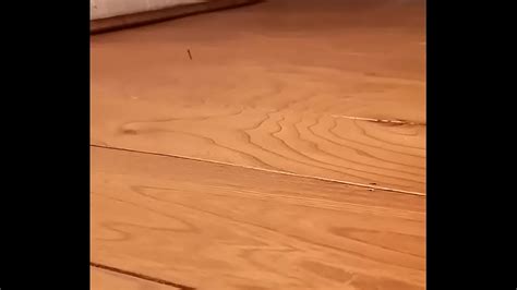 Vecinos Follando Gimiendo Caliente P2 XVIDEOS