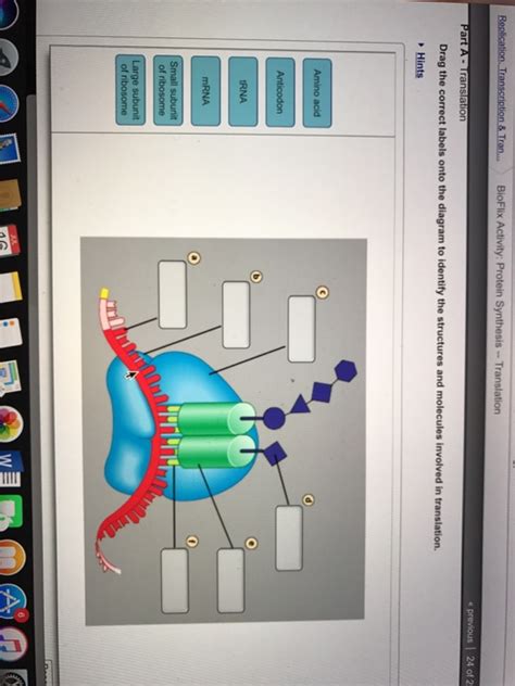 Solved Drag The Correct Labels Onto The Diagram To Identify Chegg