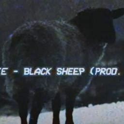 Black Sheep - Song Lyrics and Music by Lil Darkie arranged by ...