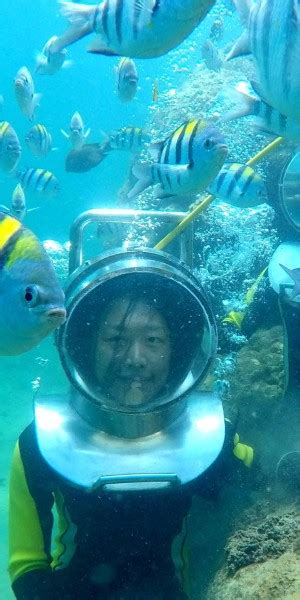 Nusa Dua Underwater Sea Walking Experience Getyourguide