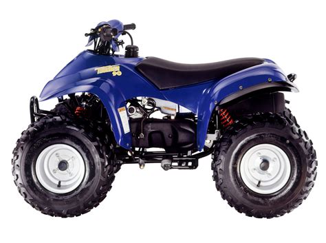 Eton Atv 90cc Four Wheeler