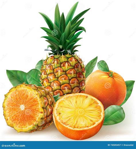 mix  pineapple  orange fruits stock vector illustration