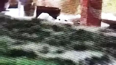 Veike Sise 4 Free European Porn Video 90 XHamster