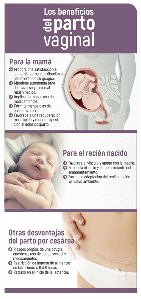 Los Beneficios Del Parto Vaginal Sonr E Mam