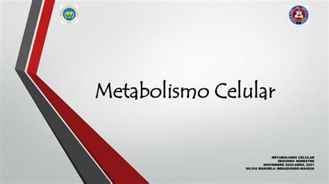 Metabolismo Celular Ppt