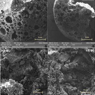 Sem Micrographs Of The Prepared Nanocomposite Foams At And