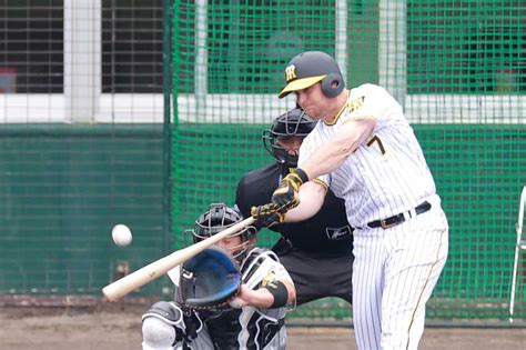 阪神からd5位指名の亜大・岡留が仮契約「甲子園のマウンドに立てるのはありがたいこと」 サンスポ