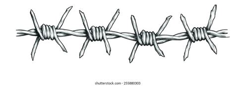 Barber Wire Hand Drawing Stock Illustration 255880303 Shutterstock