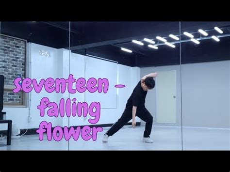 세븐틴 seventeen falling flower 거울모드 YouTube