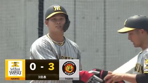 イージースポーツ On Twitter ⚾ウエスタン・リーグ⚾ 阪神 野口恭佑 選手のライト前タイムリー🐯 しっかり振り切ったスイングで