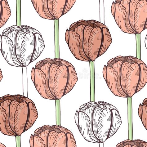 Tulip Seamless Pattern Vector Flower Background Stock Vector