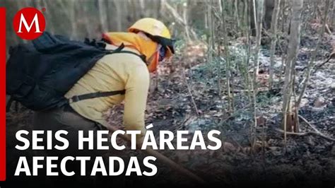 En Chiapas Se Logr Liquidar El Incendio En Ca N Del Sumidero Youtube