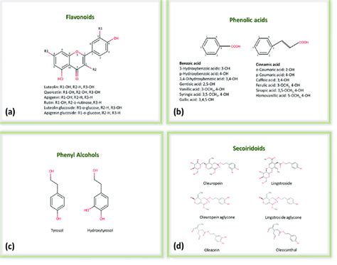 Categories of phenolic antioxidants identified in functional foods: (a)... | Download Scientific ...