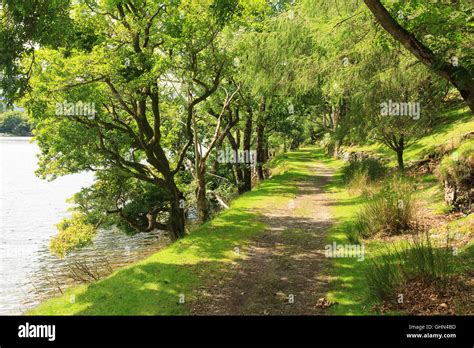 El Camino Del Precipicio Fotograf As E Im Genes De Alta Resoluci N Alamy