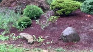 Fucking Pine Cones Free BDSM HD Porn Video XHamster XHamster