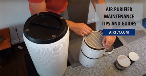 Air Purifier Maintenance Tips And Guides