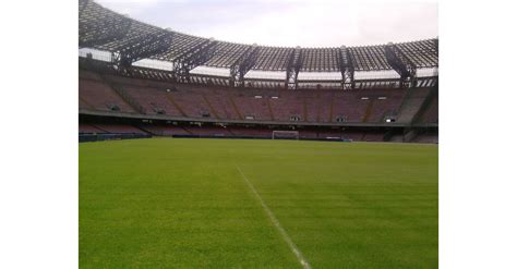 SSC Napoli Tickets 2024/2025 - Compare & Buy Tickets with SeatPick