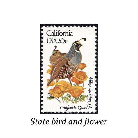 Five 20c California State Bird And Flower Stamps Vintage Unused Us