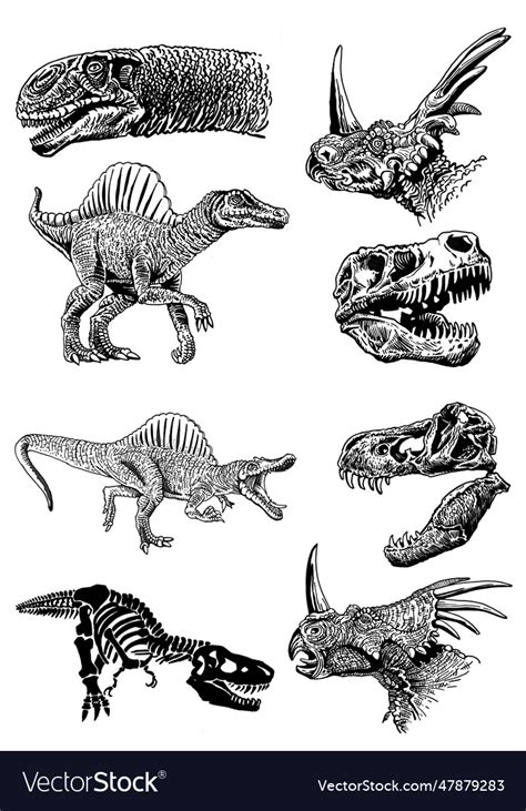 Graphical Big Set Of Dinosaurs Isolated On White Vector Image