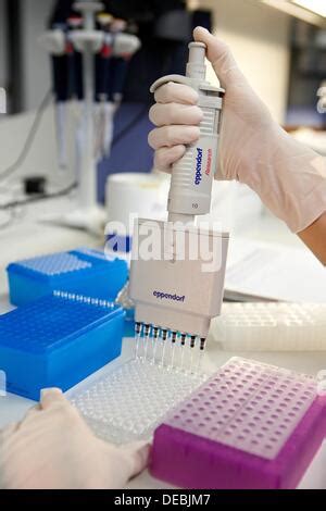 Preparing Samples For DNA Sequencing Genomics Unit DNA And RNA