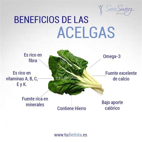 Beneficios De Las Acelgas Verduras De Hoja Verde