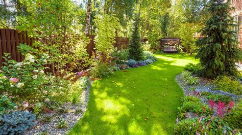 care   backyard angi