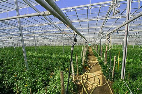 Greenhouse Misting Systems