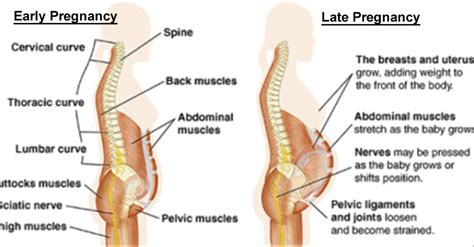 Abdominal Pain During Pregnancy: Ease Pain in Abdominal Area