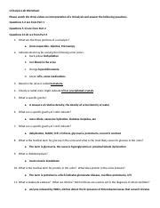 Urinalysis Lab FINISHED Docx Urinalysis Lab Worksheet Please Watch