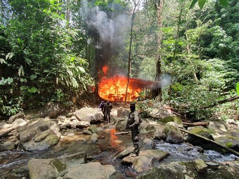 Ffaa Destruye Plantaci N De Marihuana Y Narcolaboratorio En Col N Stn